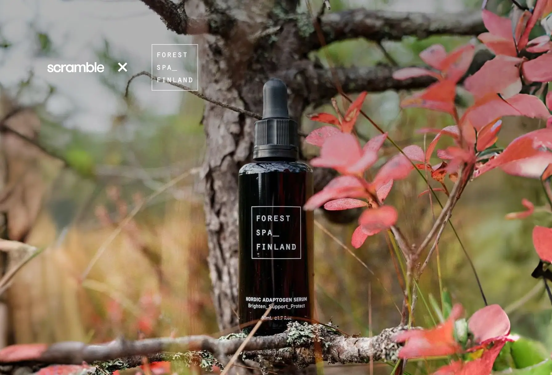 Unveiling the Natural Magic of Forest Spa Finland: Nurturing Skin ...